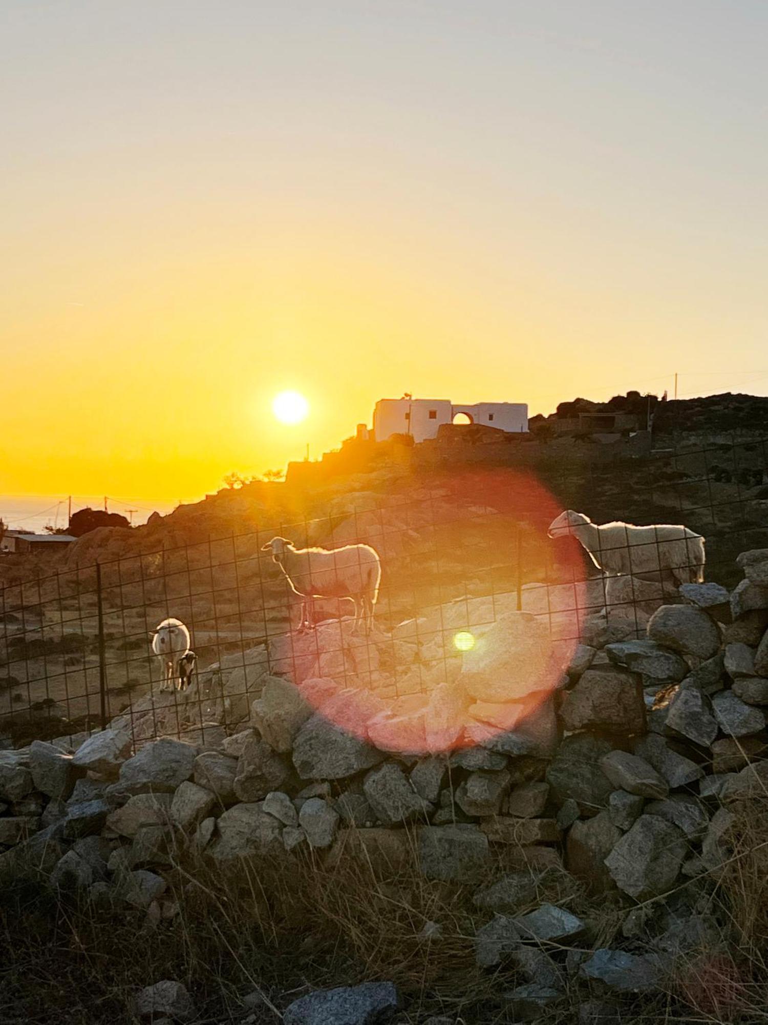 Isychos House Βίλα Μικρή Βίγλα Εξωτερικό φωτογραφία